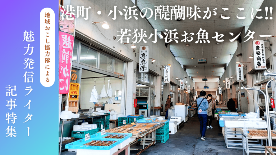魅力発信記事ライター（お魚センター）