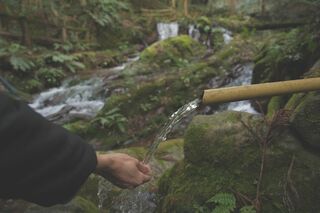 【魅力発信ライター記事特集】自然の恵みに触れる特別な水汲み体験～若狭町　瓜割の滝～