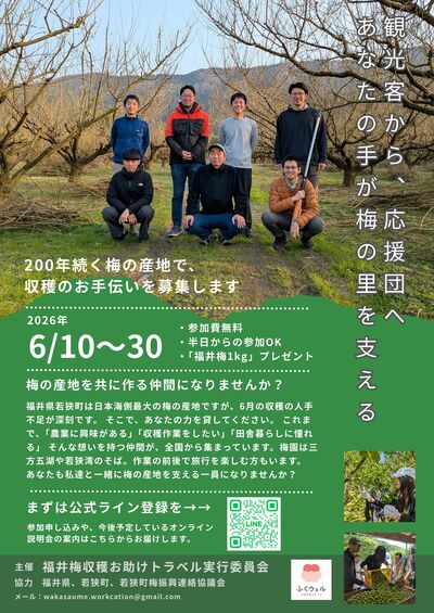 地元の農家さんと一緒に梅収穫体験」から「地元の農家さんの梅収穫