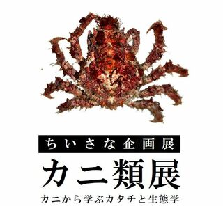 カニ類展～カニから学ぶカタチと生態学