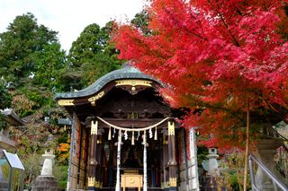常宮神社