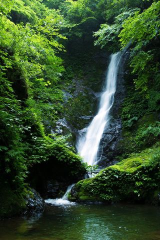 野鹿の滝