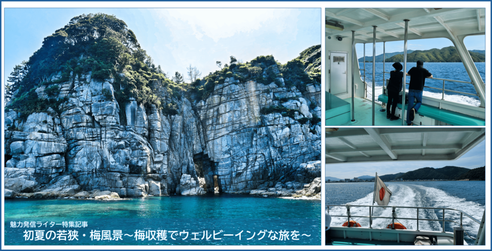 【小浜市】　迫力の断崖美を楽しむ爽快クルーズ「蘇洞門めぐり」