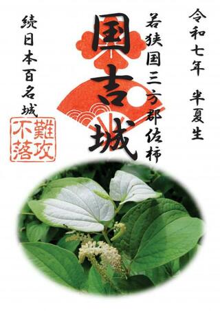 令和７年　国吉城　期間限定御城朱印「半夏生版」販売中です