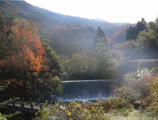 紅葉（黒河渓谷）
