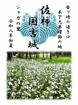 令和8年　国吉城　期間限定御城朱印【シャガ版】発行のお知らせ