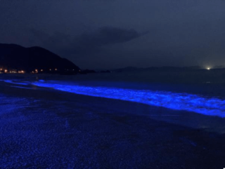 日本海側初開催！光の波プロジェクトin水晶浜