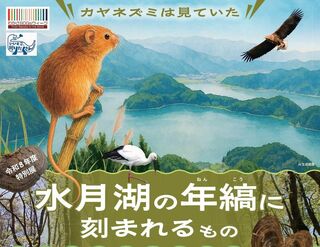 カヤネズミは見ていた―水月湖の年縞に刻まれるもの
