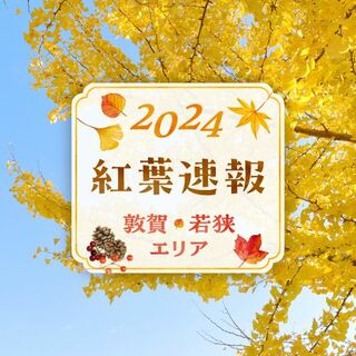 2024紅葉速報　敦賀・若狭エリア