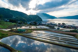 日引の棚田
