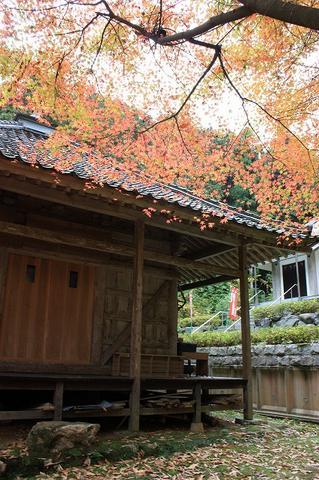 紅葉（馬居寺）