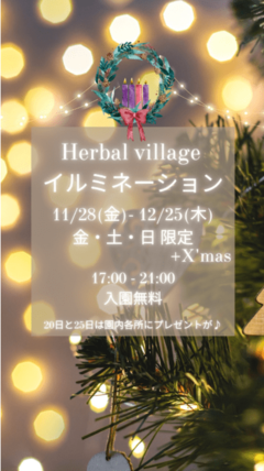 ハーバルイルミネーション