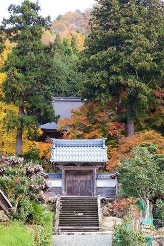 萬徳寺（紅葉）