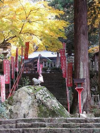 紅葉（三方石観世音）