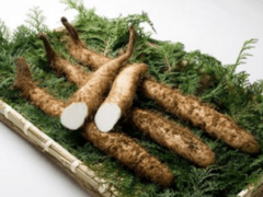 第27回 じねんじょ祭り