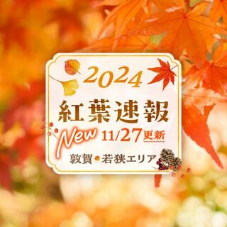 2024紅葉速報　敦賀・若狭エリア