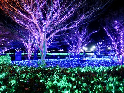 観光写真素材集を公開しました！ | FUKUI若狭ONEweb 福井「若狭路」の