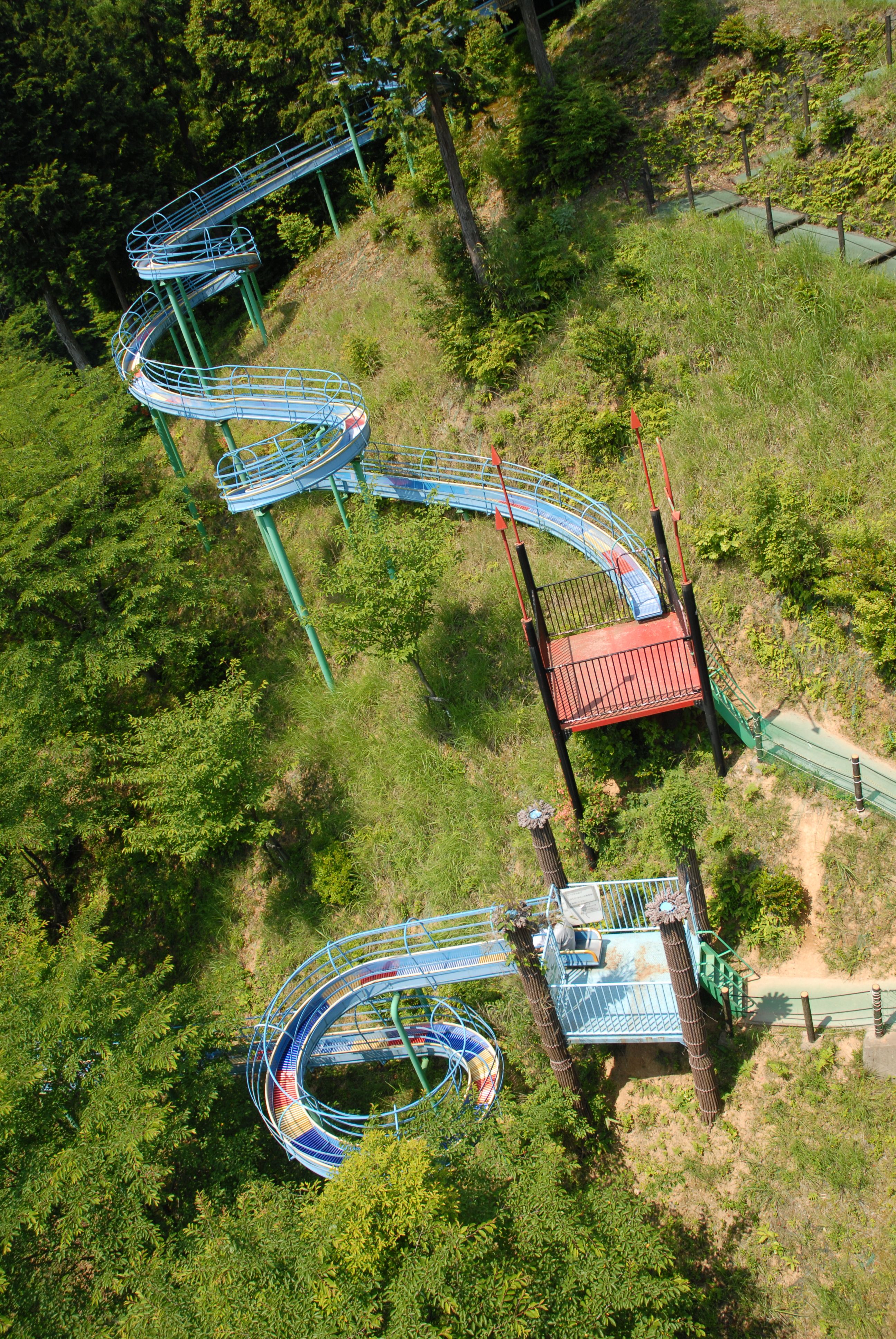 きのこの森 | FUKUI若狭ONEweb 福井「若狭路」の観光サイト