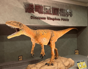 【アフター万博】大阪・関西万博関西パビリオン福井県ゾーンの大人気恐竜コンテンツがこども家族館で復活します！