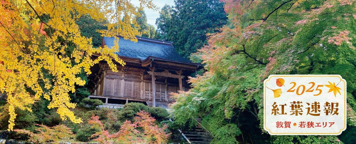 2025年紅葉速報①