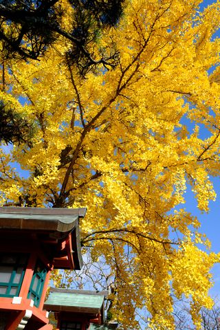 常宮神社