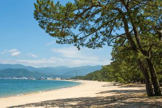 気比の松原海水浴場