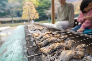 渓流の里