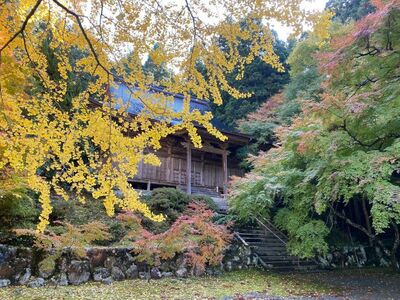 2025.11.20更新【2025紅葉速報】敦賀・若狭エリアの紅葉スポットで今の