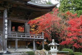 紅葉（神宮寺）