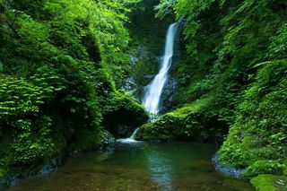 野鹿の滝