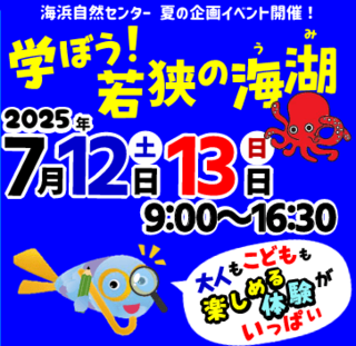 夏の企画イベント「学ぼう！若狭の海湖」
