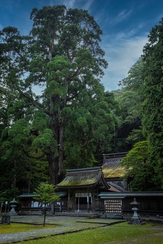 若狭姫神社