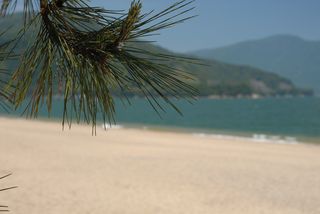 気比の松原海水浴場