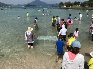 【海辺の環境教育イベント】海の生き物観察会