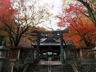 紅葉（金崎宮、金ヶ崎公園）