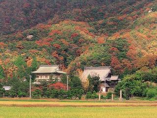 紅葉（西福寺）