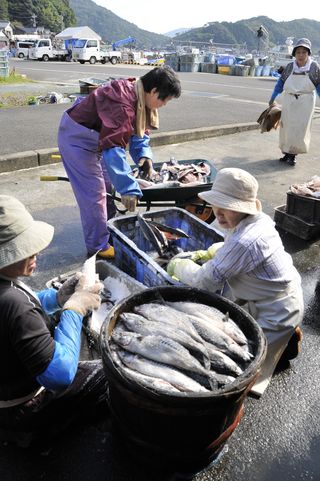 へしこ蔵見学