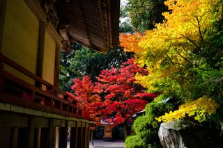 常宮神社