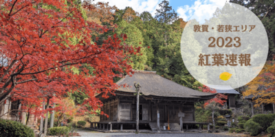 紅葉の賀は賑わいて PR ホイル】紅葉の賀は賑わいて(PR)(UMA-W106-076S)｜ヴァイス通販
