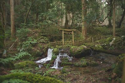 🌊自然の恵みに触れる特別な水汲み体験～若狭町 瓜割の滝～ | FUKUI