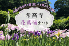 常高寺　花菖蒲まつり