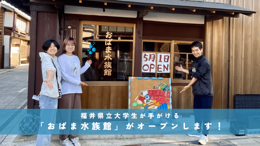 福井県立大学の学生が手がける「おばま水族館」がオープンします！