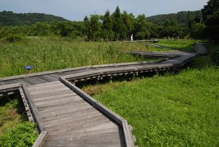 中池見湿地