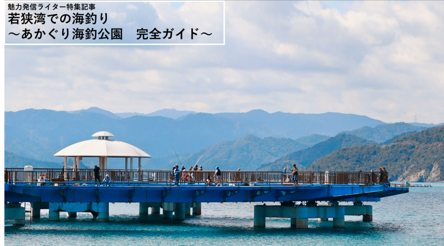 若狭湾での海釣り:あかぐり海釣公園完全ガイド