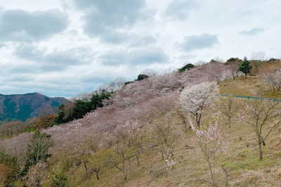 日本の春・厳選風景16年【 風景写真 3-4月号　2007〜2022年】16冊 日本の春・厳選風景16年【 風景写真 3-4月号 2007〜2022