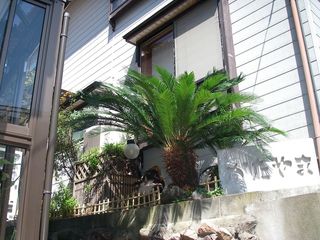 ■年間民宿　かたやま