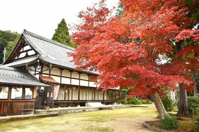 2024.11.27更新【2024紅葉速報】敦賀・若狭エリアの紅葉スポット
