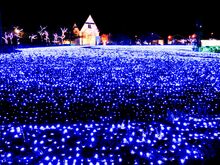 【魅力発信ライター特集記事】福井県敦賀市　ミライエ2025と新スタイル敦賀ラーメン