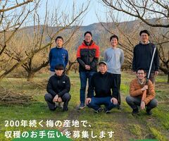 緑豊かな環境で地元の農家さんと一緒に梅収穫体験はいかがでしょうか!?
